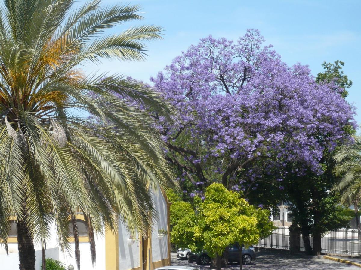 Real Escuela Home Jerez de la Frontera Buitenkant foto